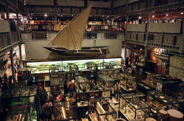 Blago iza skrivenih vrata u Oksfordu: Muzej s 500.000 čudesa